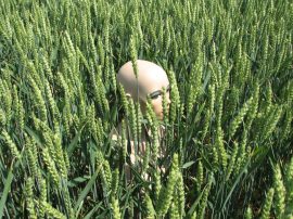 Klicken f�r Bild in voller Gr��e