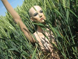 Klicken f�r Bild in voller Gr��e