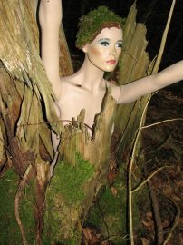 Klicken f�r Bild in voller Gr��e