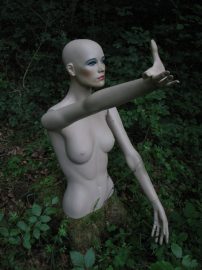 Klicken f�r Bild in voller Gr��e