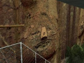 Klicken f�r Bild in voller Gr��e