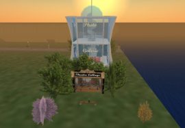 Klicken f�r Bild in voller Gr��e