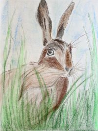 Klicken f�r Bild in voller Gr��e