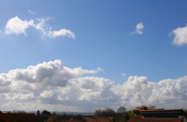 Klicken f�r Bild in voller Gr��e