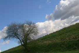 Klicken f�r Bild in voller Gr��e