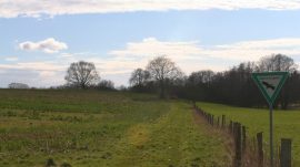 Klicken f�r Bild in voller Gr��e