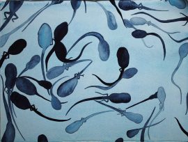 Klicken f�r Bild in voller Gr��e