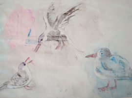 Klicken f�r Bild in voller Gr��e