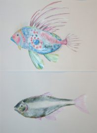 Klicken f�r Bild in voller Gr��e