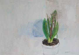 Klicken f�r Bild in voller Gr��e