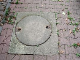 Klicken f�r Bild in voller Gr��e