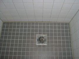 Klicken f�r Bild in voller Gr��e