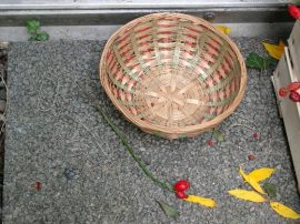 Klicken f�r Bild in voller Gr��e