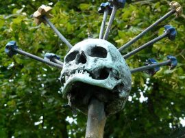 Klicken f�r Bild in voller Gr��e