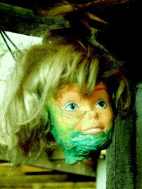 Klicken f�r Bild in voller Gr��e