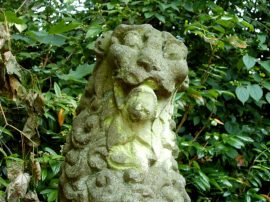 Klicken f�r Bild in voller Gr��e