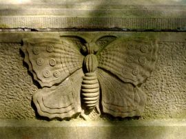 Klicken f�r Bild in voller Gr��e