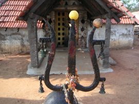 Klicken f�r Bild in voller Gr��e