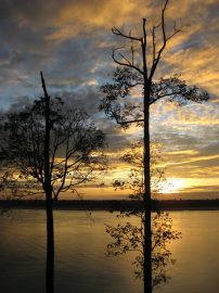 Klicken f�r Bild in voller Gr��e