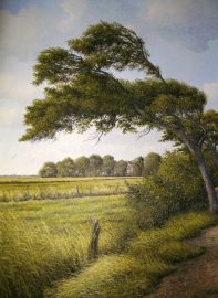 Klicken f�r Bild in voller Gr��e