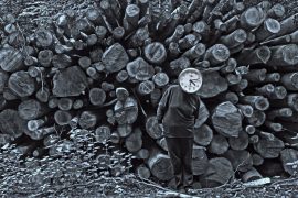 Klicken f�r Bild in voller Gr��e